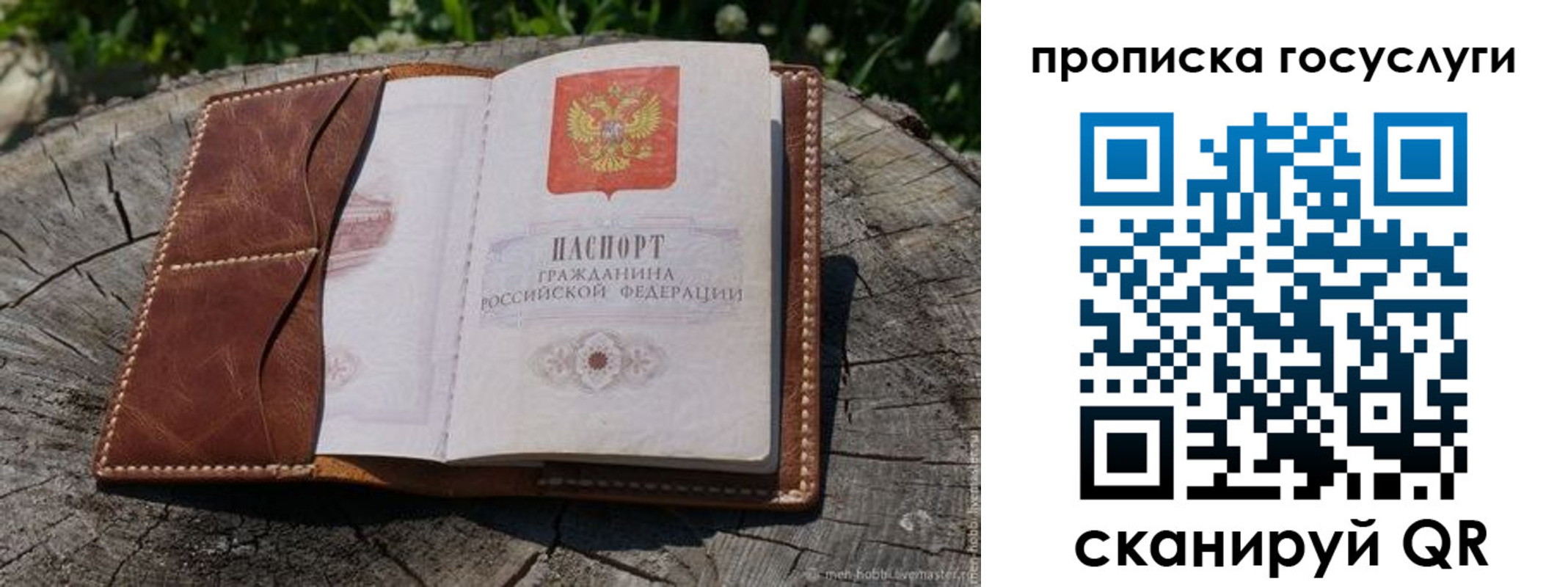 прописка для школы в Киреевске